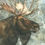 Thumbnail: Moose
