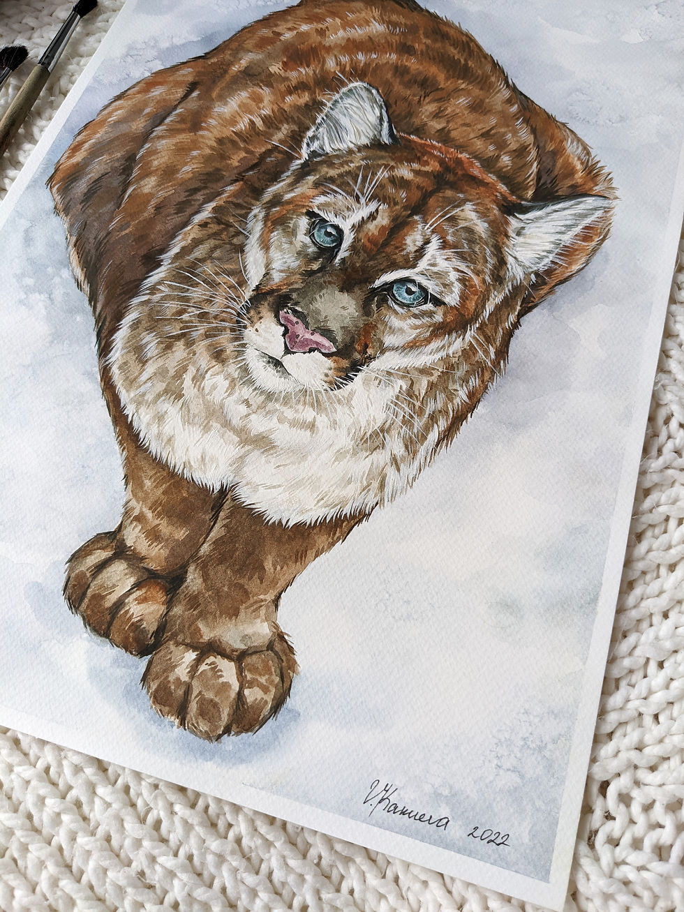 Thumbnail: Eyes of the Wild