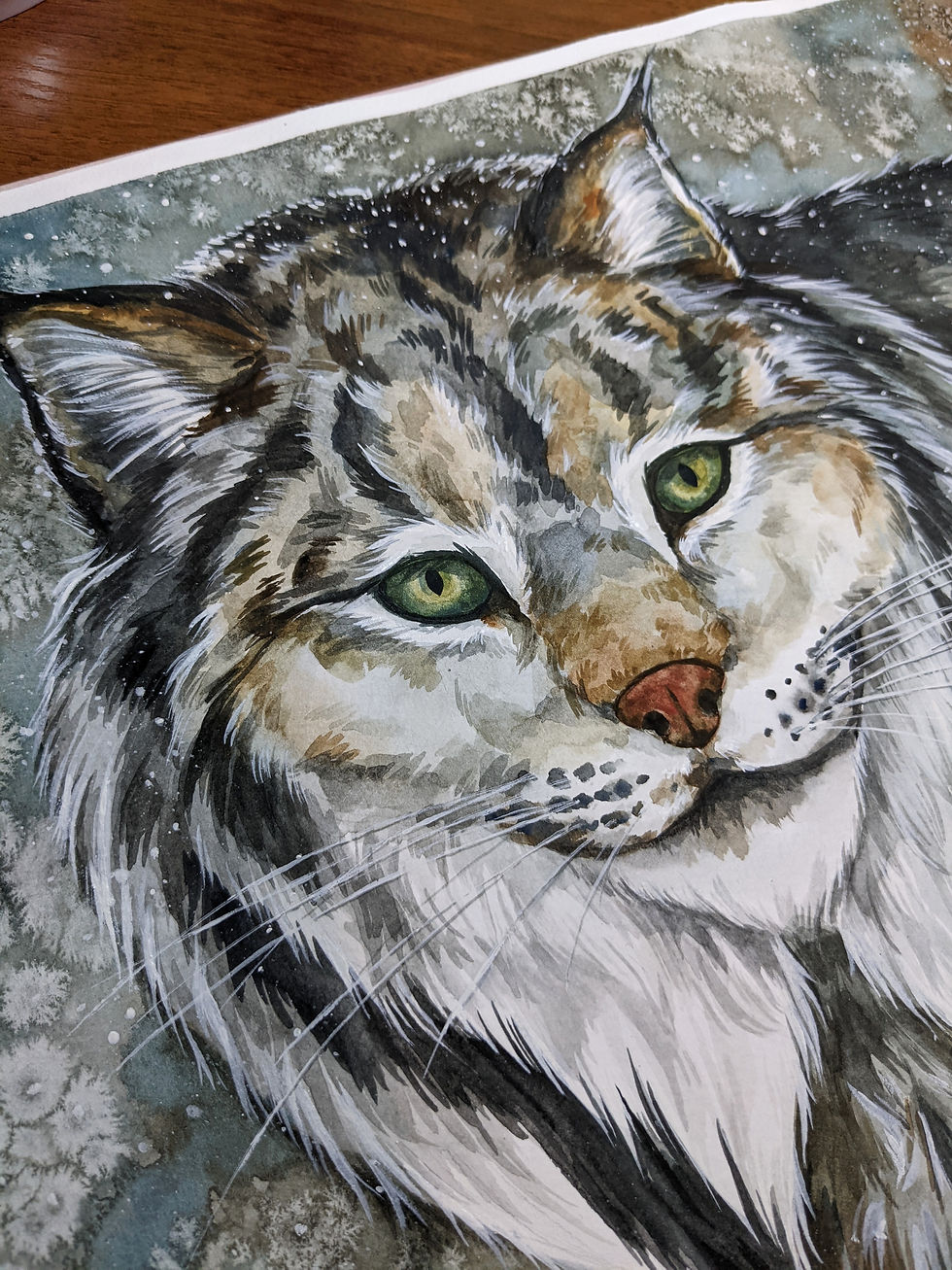 Thumbnail: Canadian Lynx