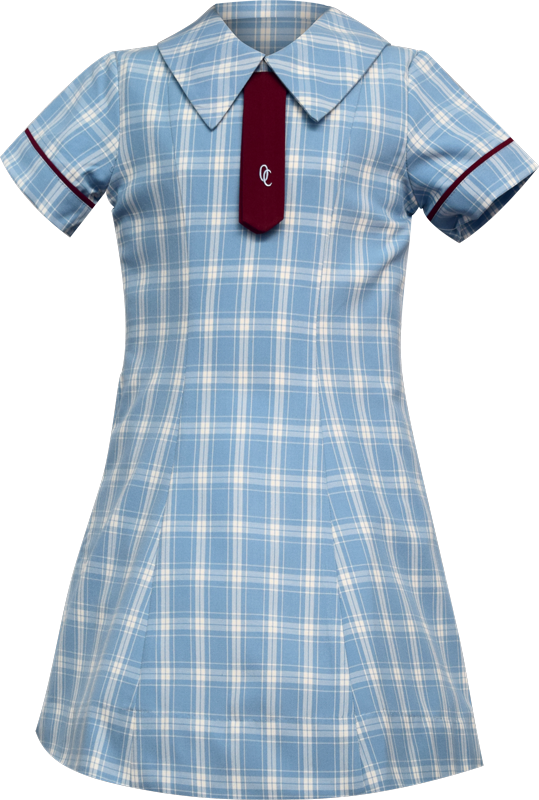 School Uniform Dress Front View