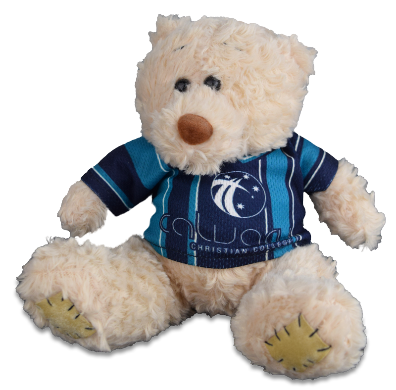 Thumbnail: G772 Teddy Bear