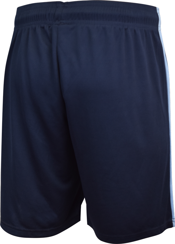 Thumbnail: Unisex School Sports Shorts Back View