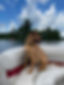 37CDB754-8404-47C6-BBB7-189B0C55B2F0.jpe