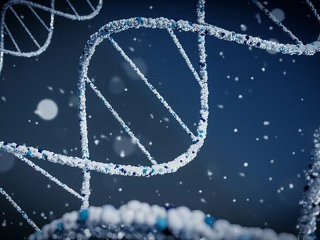 Memahami Epigenetik dan DNA dengan Mudah: Bagaimana Lingkungan Memengaruhi Gen?