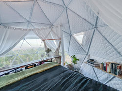 View from the Bed