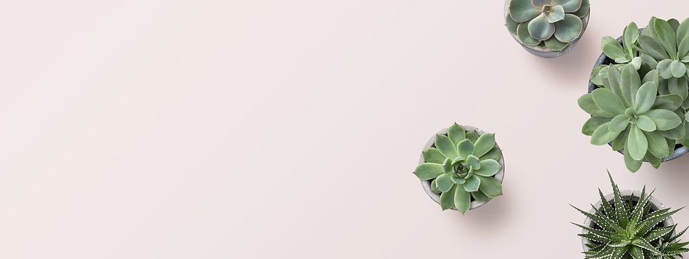 AdobeStock_226795509-2.jpeg