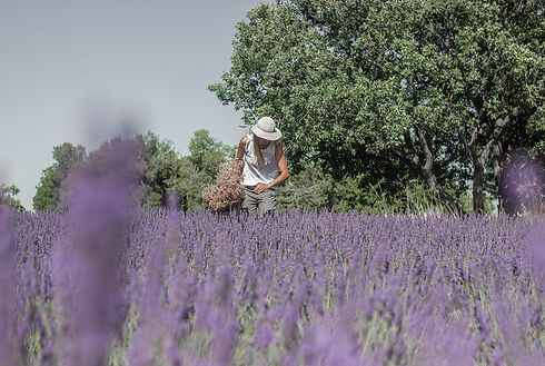 WhatsApp Image 2025-05-12 at 14.40.54 (2).jpeg