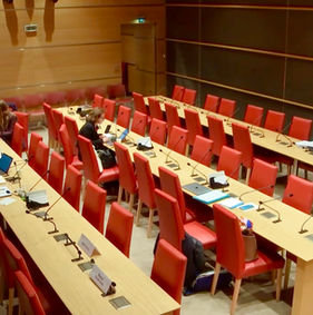 Examen et vote du rapport suite à la commission d’enquête sur les crèches