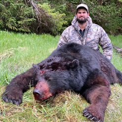 Spring Alaska Black Bear Hunt