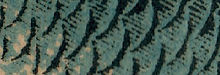TEXTURE SQ_1C_edited_edited.jpg