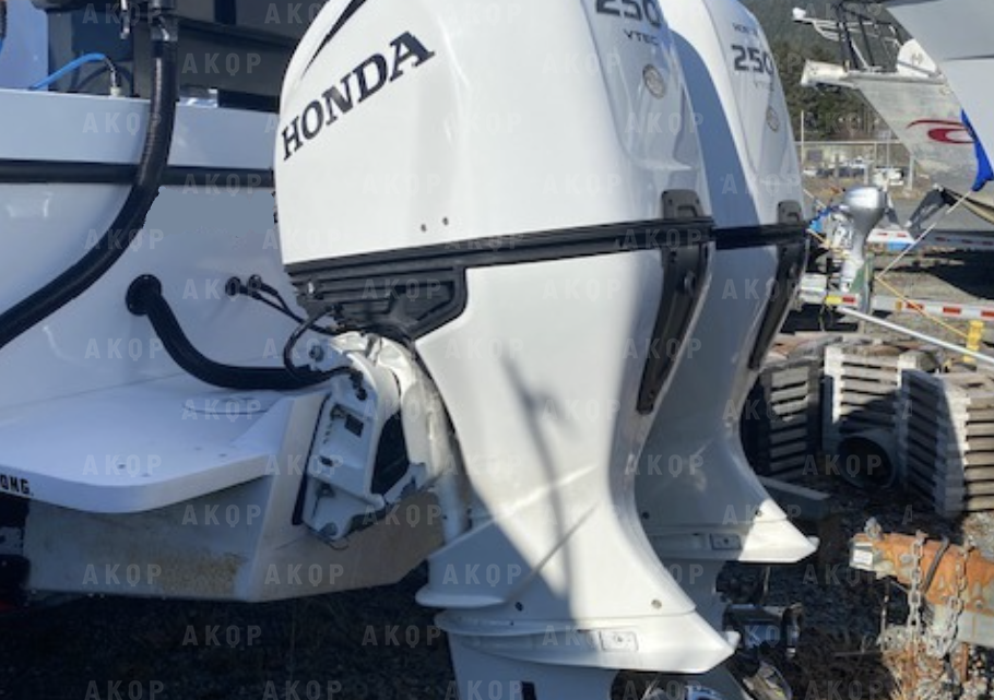30' BAMF Fiberglass Charter 2020