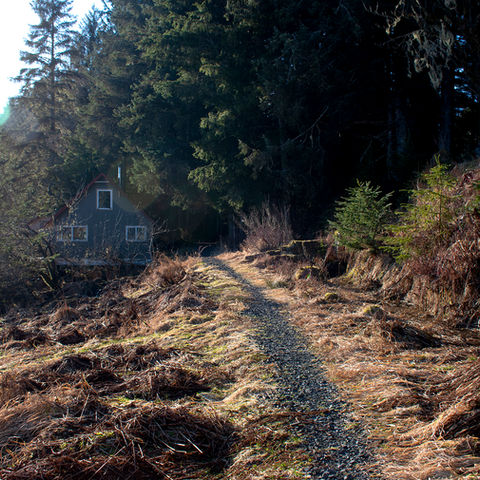 USFS Trail facing south below house towards the closest neighbor and in the direction of the Kupreanof dock, Waterfront Homestead for sale, Kupreanof Island Alaska