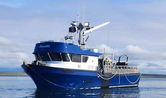 F/V Provider