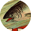ICONS_CS_25E.png