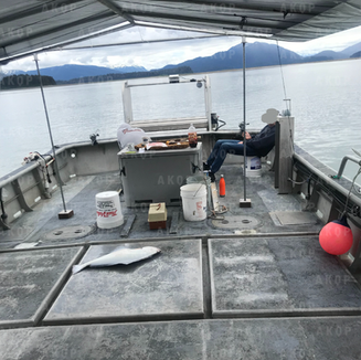 FOR SALE: 44' Westrom 1988