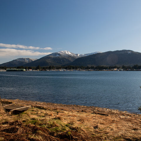 Wide open waterfront view overlooking Wrangell Narrows, Mitkof Mountain and Petersburg, Waterfront Homestead for sale, Kupreanof Island Alaska