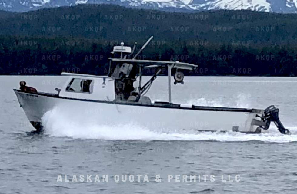 29' High Line Fiberglass Crabber 1988