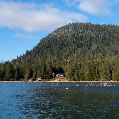 Petersburg Mountain Wrangell Narrows view, Waterfront Homestead for sale, Kupreanof Island Alaska