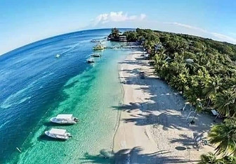 WhatsApp Image 2025-02-01 at 9.10.52 PM.jpeg