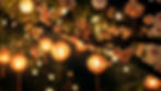 Website Background 2.jpg