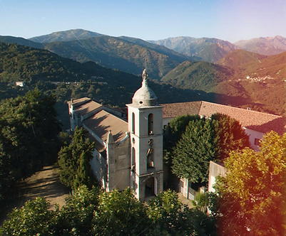 Image1.png