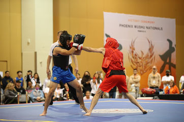 Boys sparring