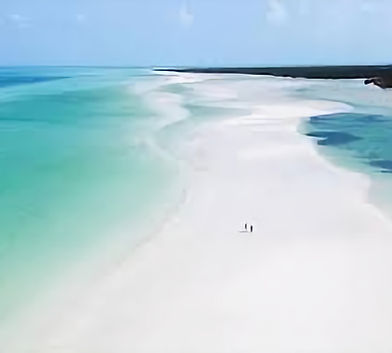 HOLBOX (1) (1)_edited.jpg