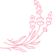 lavender_edited.png