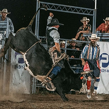 WildToTheFence2024-197.jpg
