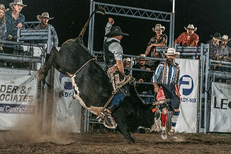 WildToTheFence2024-197.jpg
