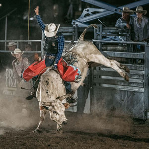 Rodeo Action Scenes