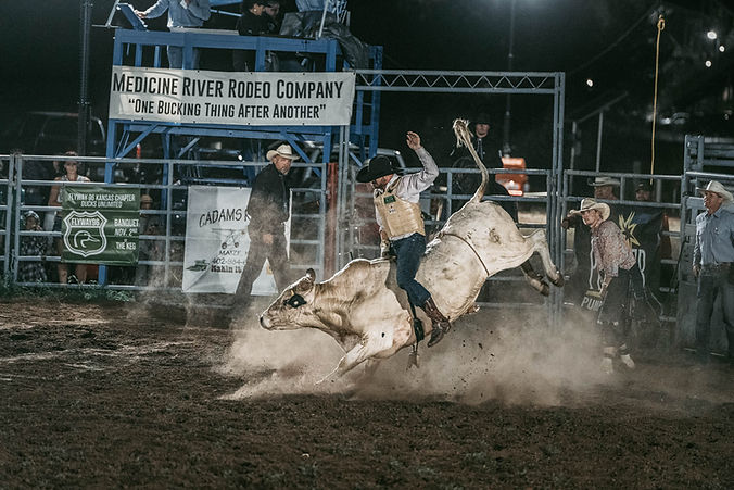 Free Image Roughstock Rodeo Wild To The Fence, Colwich Rodeo | Rough Stock Rodeo | 130 Chicago Ave ...