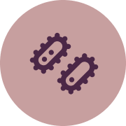 icon__bacteria.png
