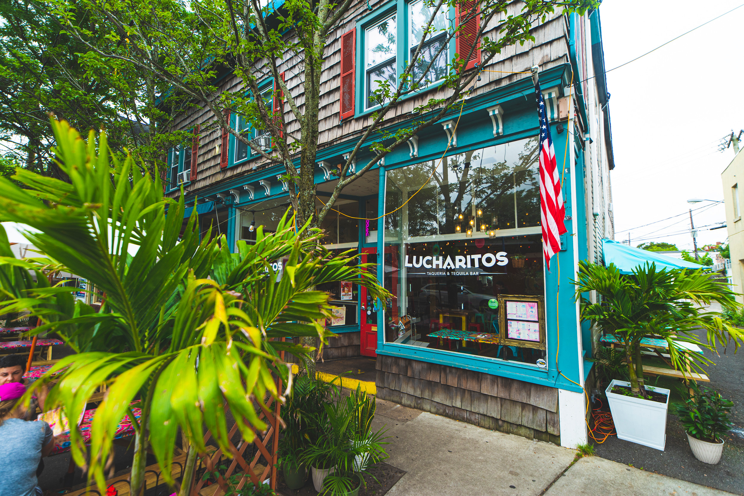 GREENPORT Lucharitos