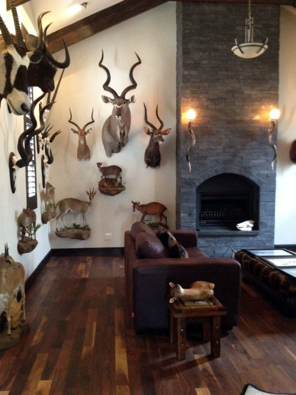 Trophy Room Interior
