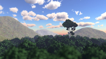 P01_Foret.jpeg