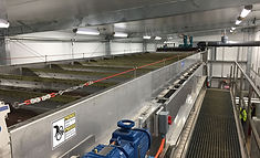 DAF, FRC, meat, chicken, poultry