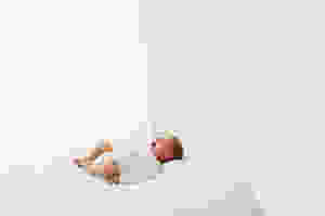 Adelaide newborn photography