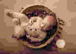 Baby Photographer Adelaide