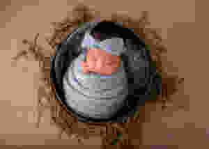 maternity photos Adelaide