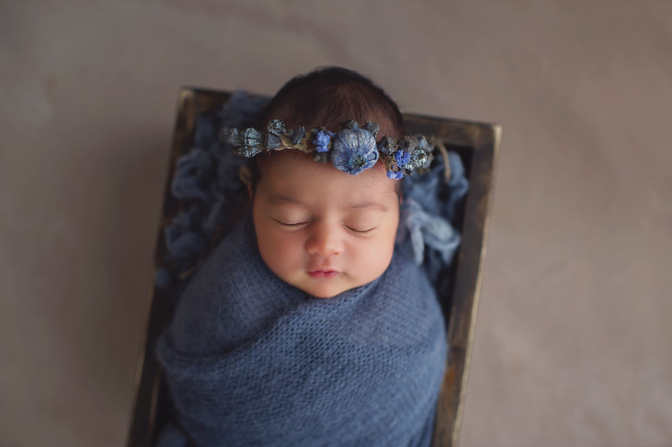 Adelaide newborn photographer