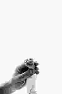 Adelaide newborn photography