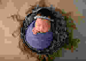 baby photos Adelaide