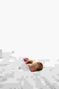 newborn photographer Adelaide