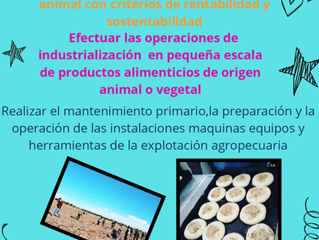 Infografía de Daniela Cazorla