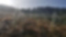 20181020_111413.jpg