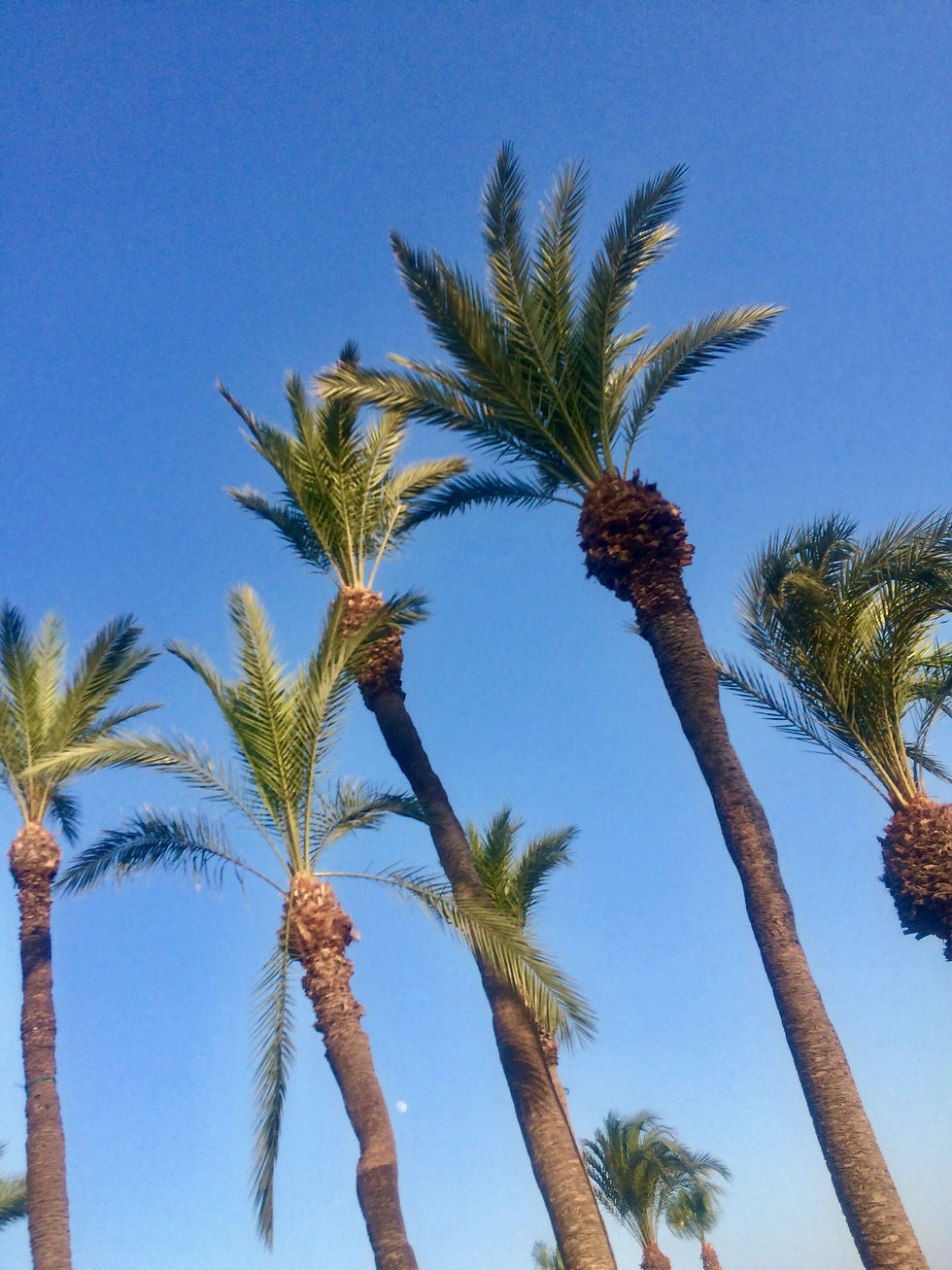 IMG_4033