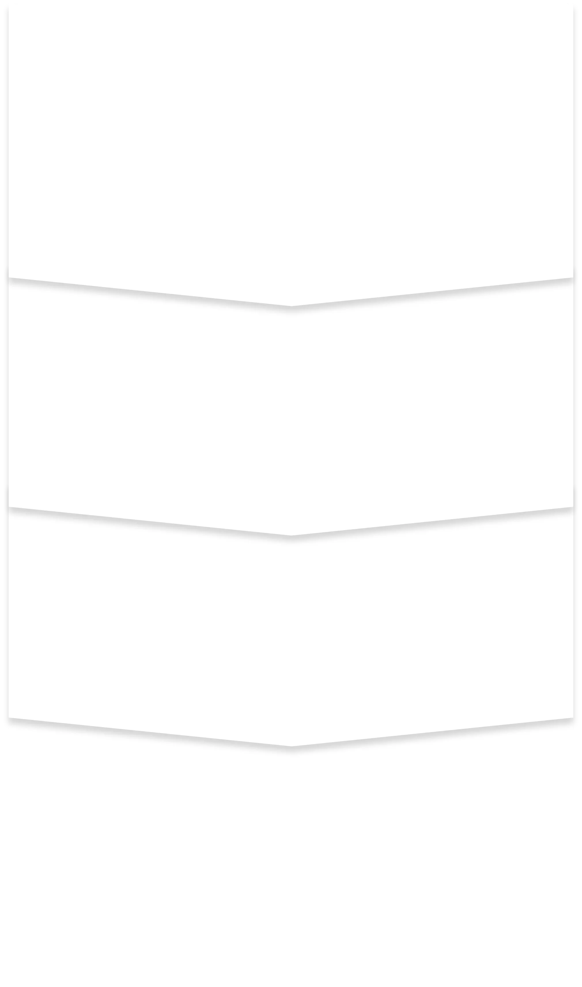 グループ 237.webp