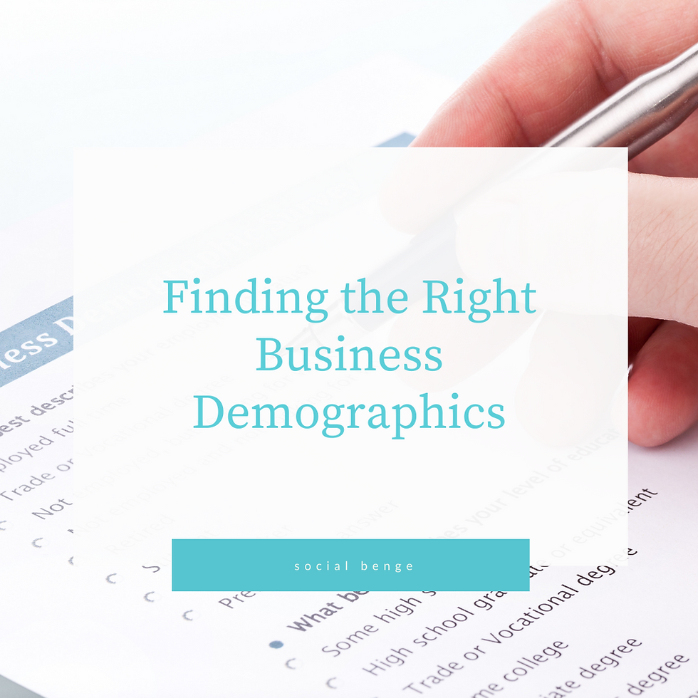 Finding the Right Business Demographics