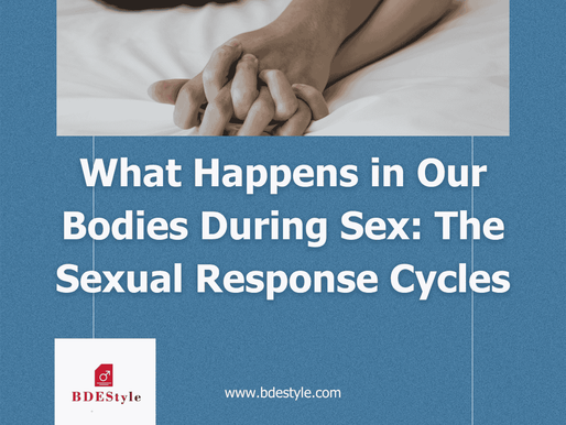 What Happens in Our Bodies During Sex: The Sexual Response Cycles